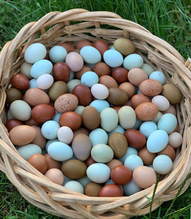 a basket filled with lots of different colored eggs