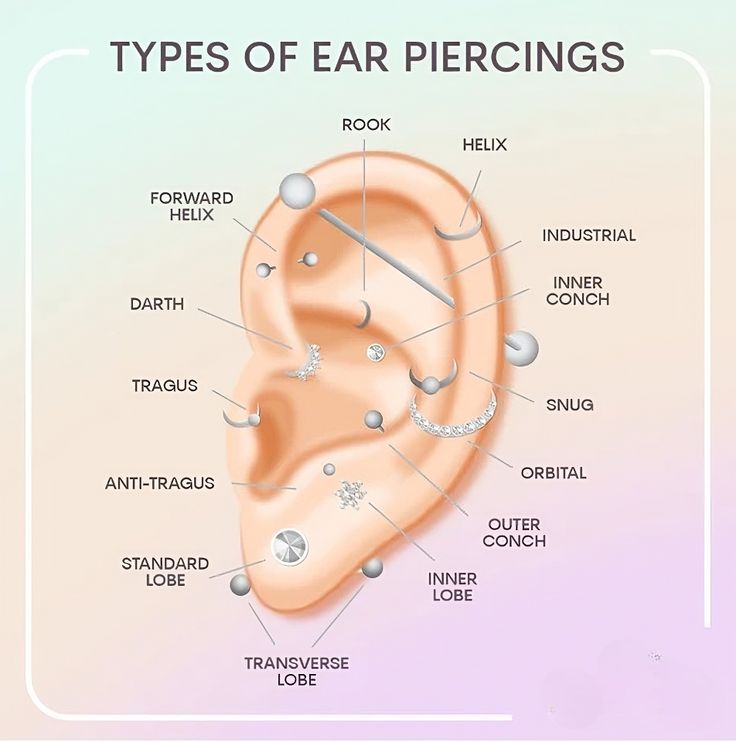 the types of ear piercings are shown in this graphic above it is an image of what they look like