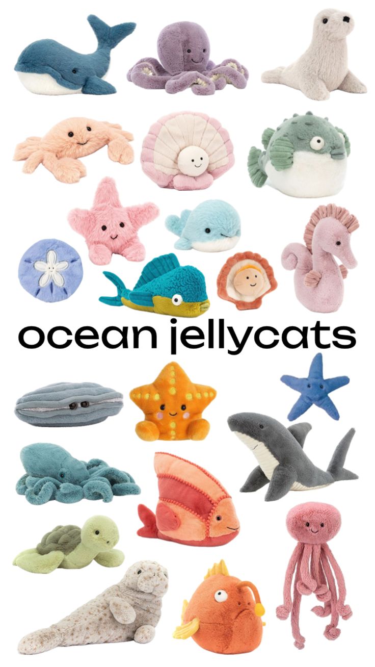 the ocean jelly cats are made with various types of sea animals and their names on them