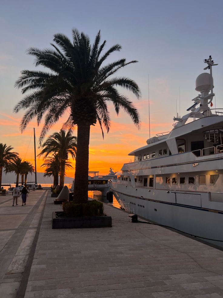 a large white boat parked next to a palm tree at sunset on the water's edge