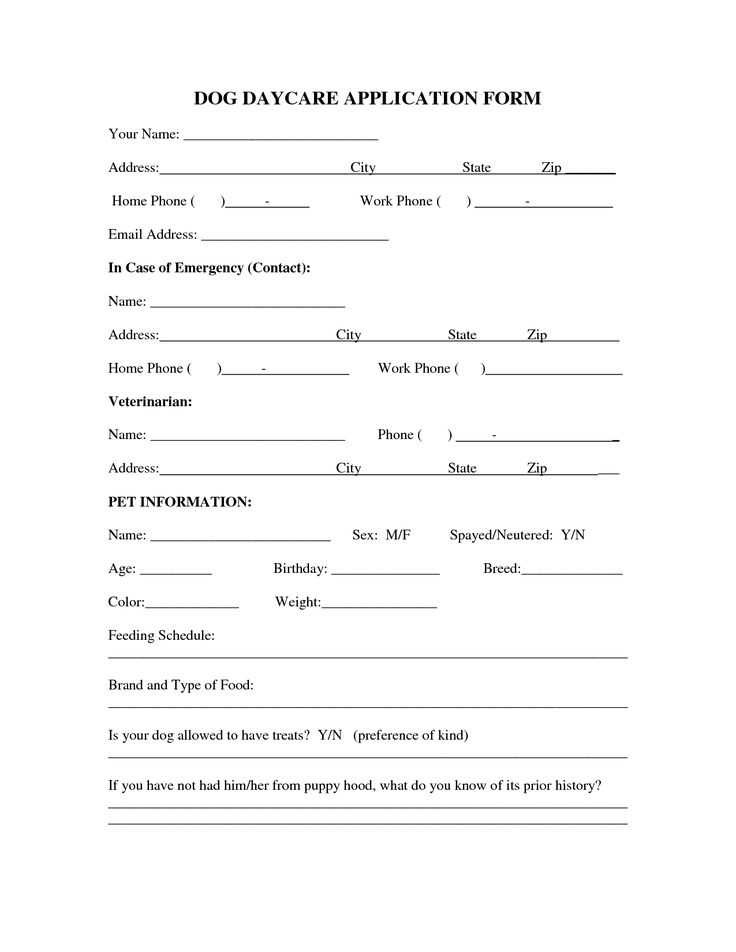 a dog day care application form is shown