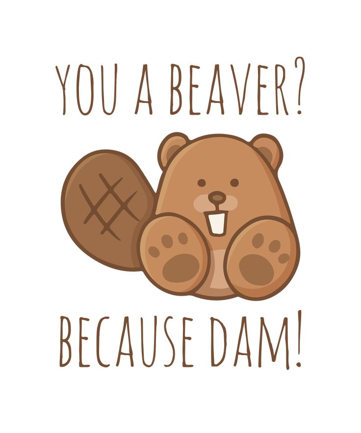 a brown teddy bear with the words you a beaver? because dam