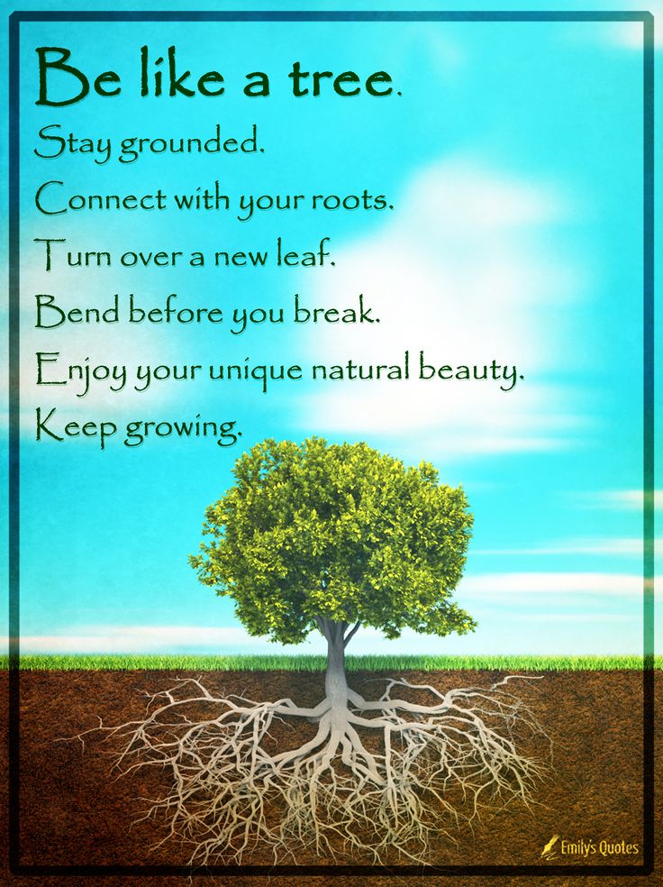 a tree with roots and the words, be like a tree stay grounded connect with your roots turn over a new leaf bend before you break enjoy your unique natural beauty