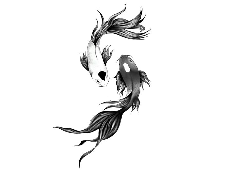 two black and white koi fish swimming together