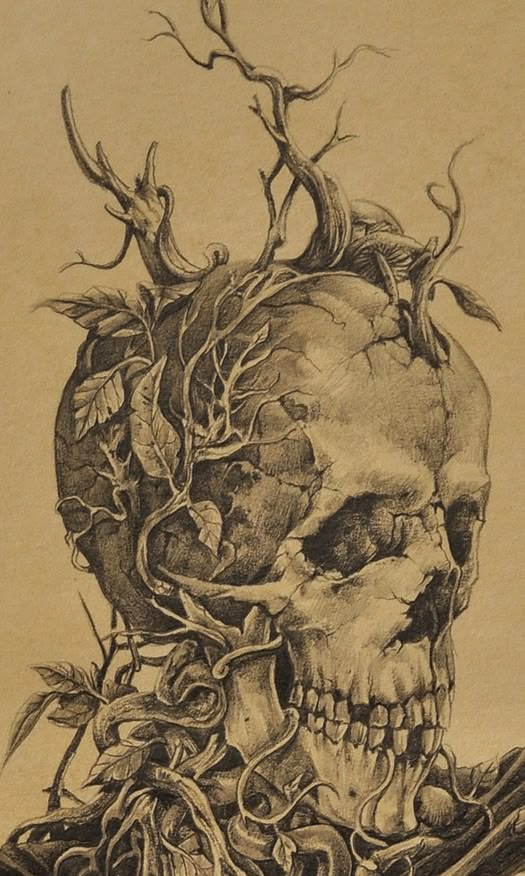 a drawing of a human skull with vines on it's head and branches growing out of the skull