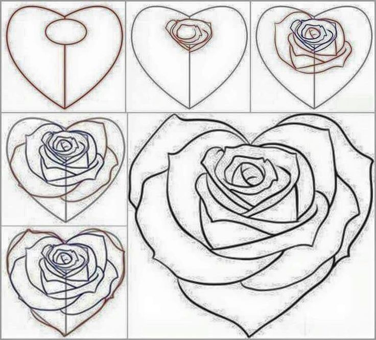 how to draw a rose in the shape of a heart with step by step instructions