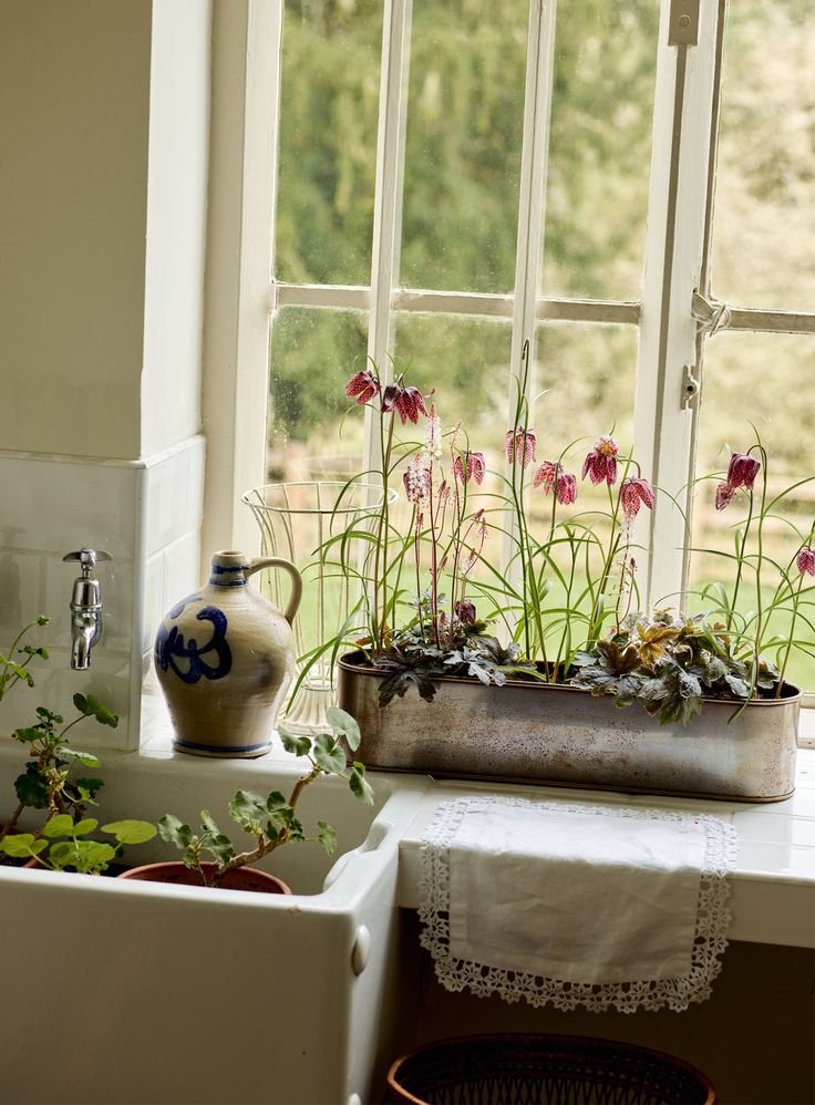 a window sill filled with flowers next to a potted planter and sink