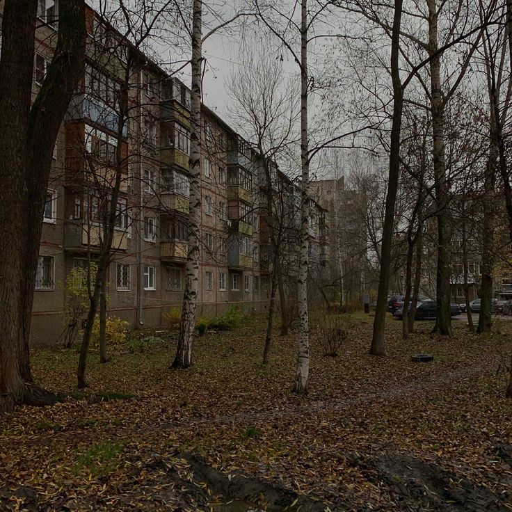 an abandoned building in the middle of a forest with trees and leaves on the ground