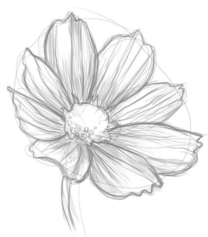 a drawing of a flower on a white background