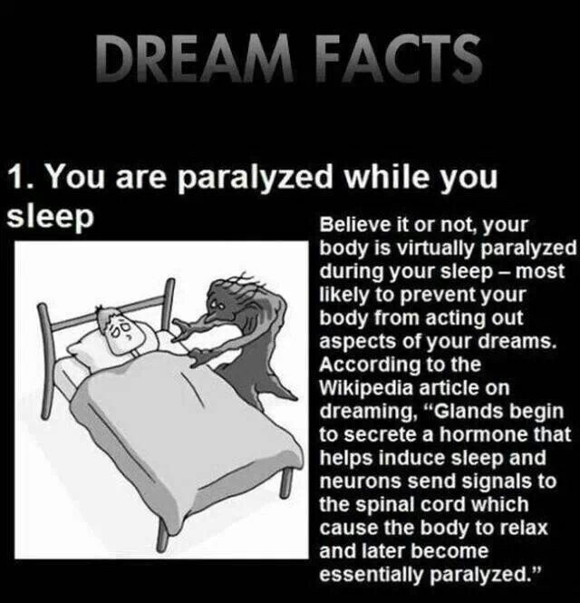 an image of a person in bed with the caption that reads, you are paralyized while you sleep