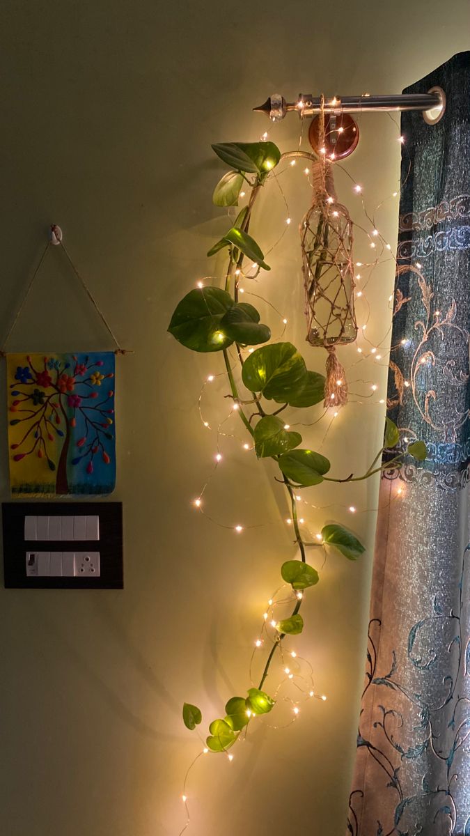 there is a plant that is growing on the wall next to the window with lights around it