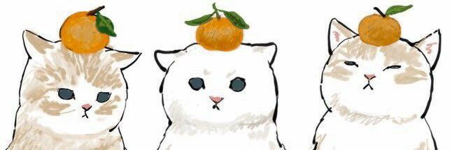 three white cats with oranges on their heads