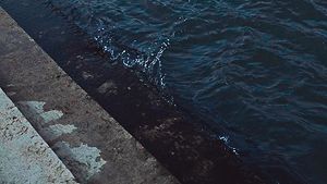 a person standing on the edge of a body of water