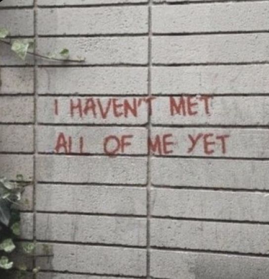 graffiti on the side of a brick wall that says i haven't met all of me yet