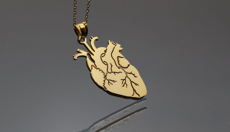 Anatomical Heart 14k 18k Solid Gold Necklace - Heart Pendant - Human Heart Necklace - Custom Necklace ▶ 14K Solid Gold (585) ▶ 18K Solid Gold (750) ▶ Options: White,Rose,Yellow ▶ You can buy this necklace without chain. ABOUT NECKLACE Handmade with 14k/18k solid real gold. You can order this Anatomical Heart gold necklace with 3 different color options, 5 different necklace length options and free & express shipping to the all-around the world. What is 14k Gold? 14K gold is a mixture which prima Handmade 14k Gold Heart Jewelry, Heart-shaped Yellow Gold Brass Necklace, Yellow Gold Heart-shaped Brass Necklace, Heart Shaped Yellow Gold Brass Necklace, Heart-shaped 14k Gold Hallmarked Necklace, 14k Gold Heart Necklace Hallmarked, 14k Gold Pendant Heart Necklace With Polished Finish, 14k Gold Polished Heart Pendant Necklace, Polished 14k Gold Heart Necklace