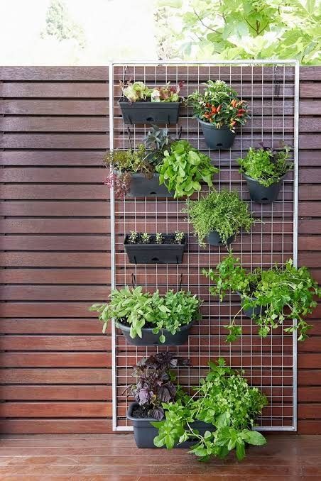 a vertical herb garden is mounted on a wall