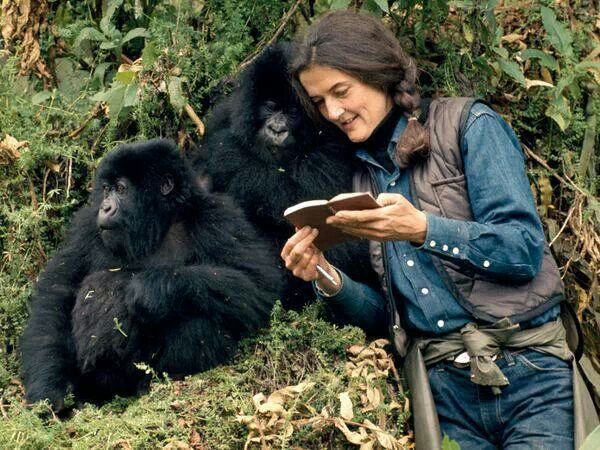 a woman reading a book next to a mountain gorilla