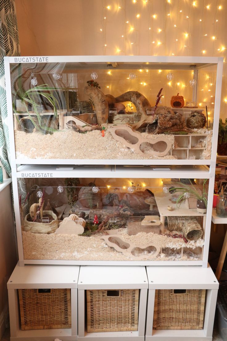 two white shelves filled with different types of animals and plants on top of each shelf