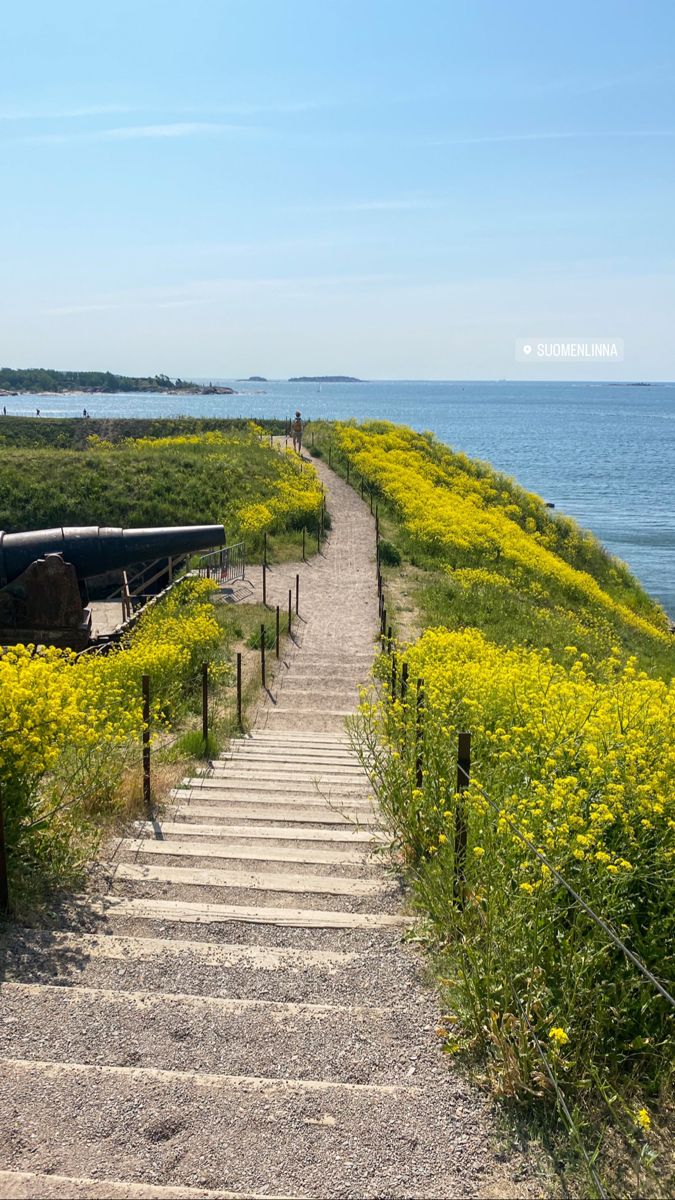 the stairs lead down to the beach where there are yellow flowers growing on both sides