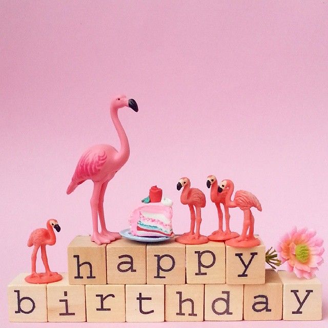 It S Someone S Birthday Somewhere Aflamingoaday Birthday Friday Flamingo Fla Flamingo Happy Birthday Happy Birthday Wishes Cards Happy Birthday Greetings