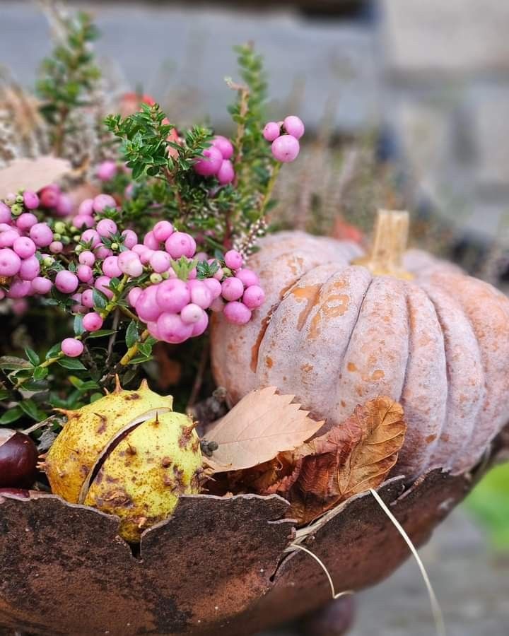 a planter filled with lots of different types of flowers and leaves on top of a table