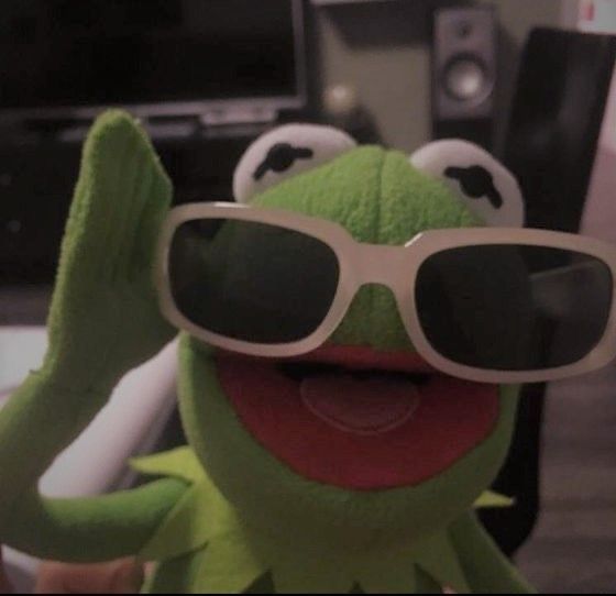 a green stuffed animal with sunglasses on it's face and hands in the air