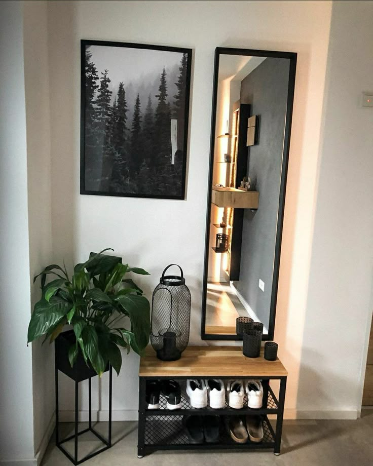 a room with a mirror, potted plant and other items on the floor in front of it