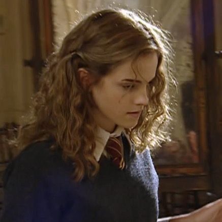 Hermione Granger Fan Cast, Hermione Core, Hermione Granger Hair, Hermione Hair, Harry Potter Outfit, Hermione Granger Aesthetic, Emma Watson Harry Potter, Buku Harry Potter, Harry Potter Icons