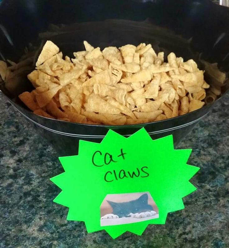 a black bowl filled with chips next to a green sign that says cat claws