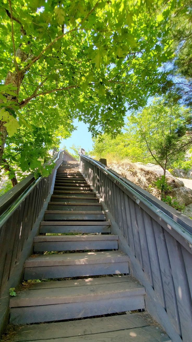 the stairs lead up to the top of the tree - lined hill, which is surrounded by green foliage