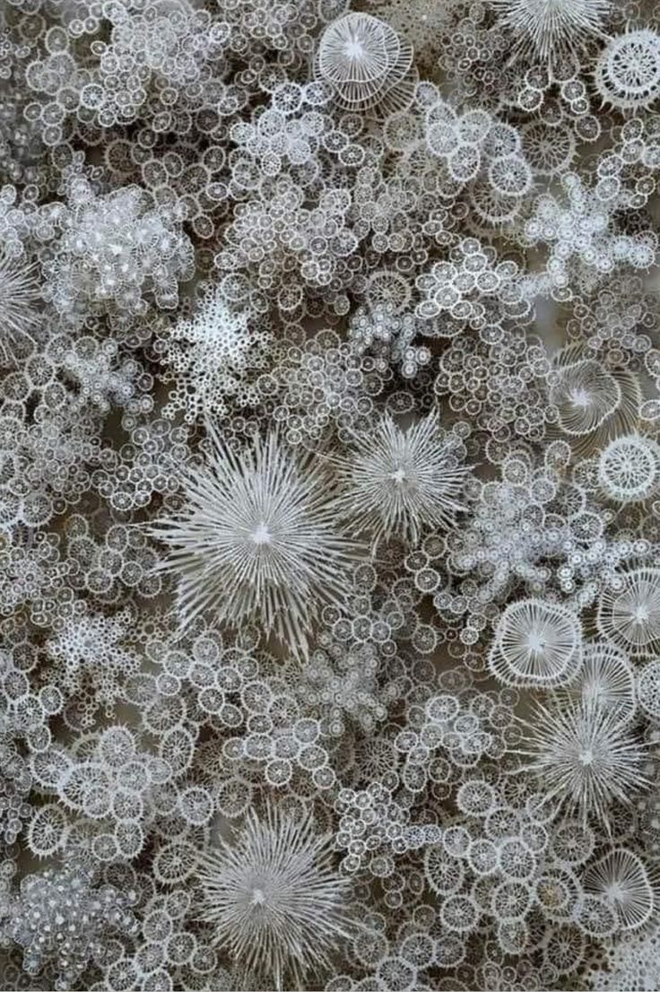 snow flakes are seen in this close up photo