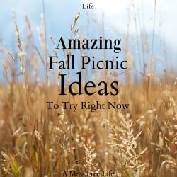 a field with tall grass and the words, amazing fall picnic ideas to try right now