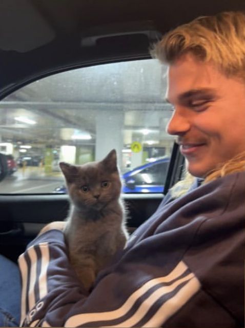 a man sitting in the back seat of a car holding a cat