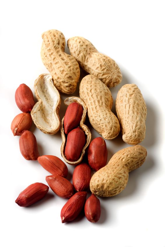 peanuts and peanuts kernels on a white background