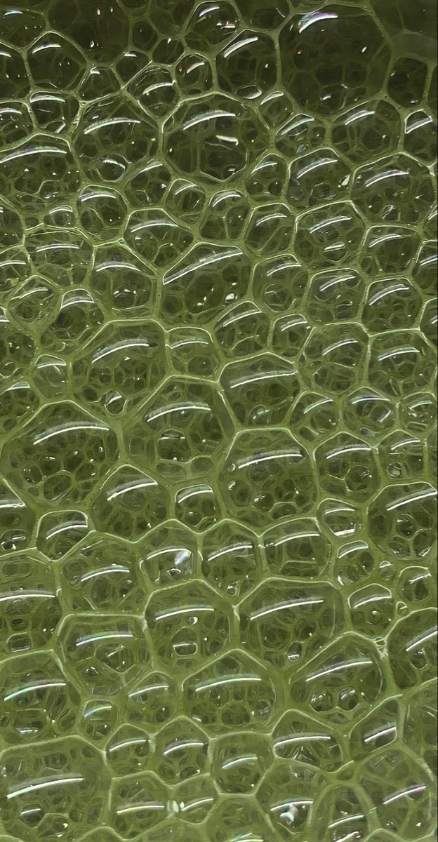 close up view of green plastic material that looks like honeycombs