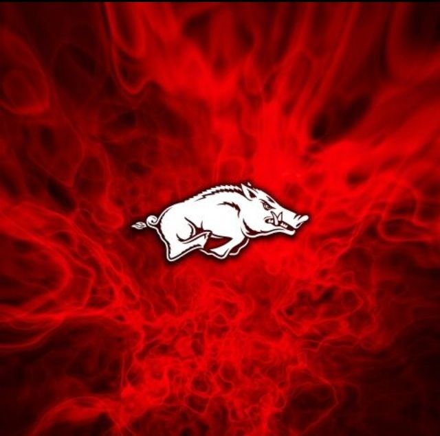 a red background with a white pig on it