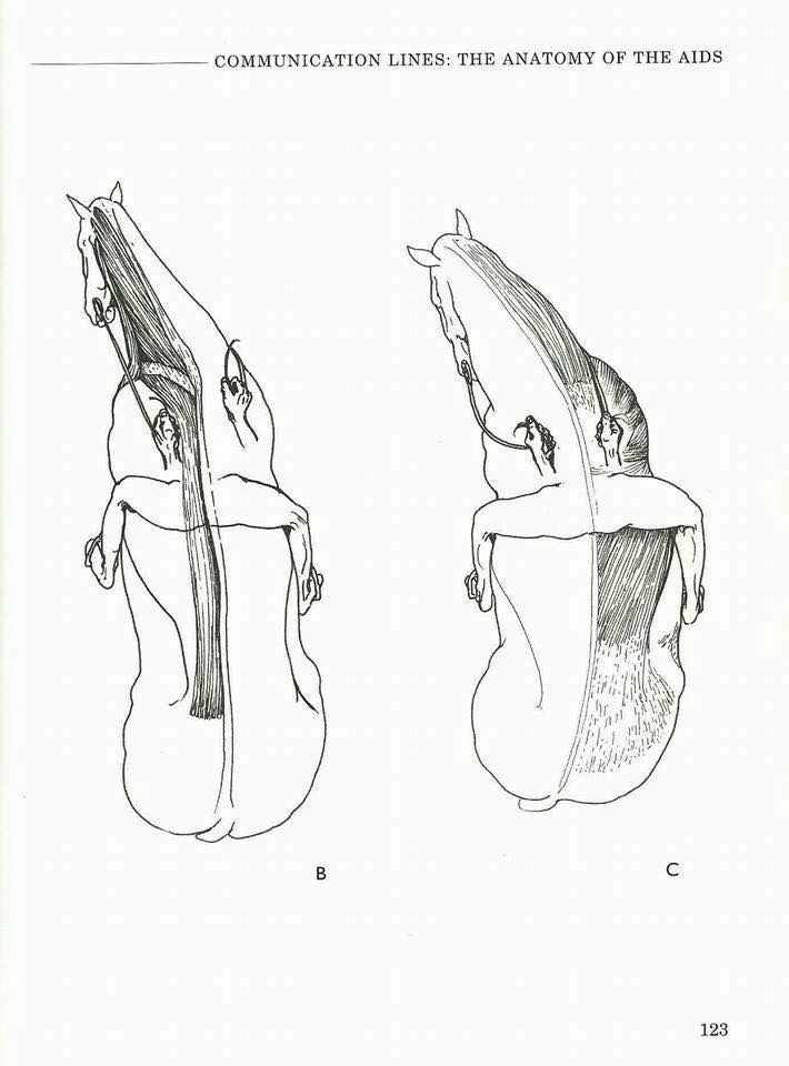 two drawings of cellos, one in black and the other in white with text