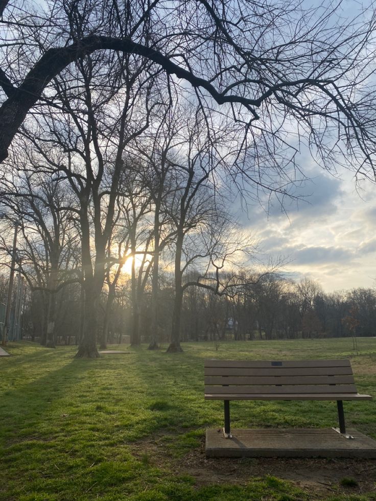 a park bench sitting in the middle of a field with trees and grass around it