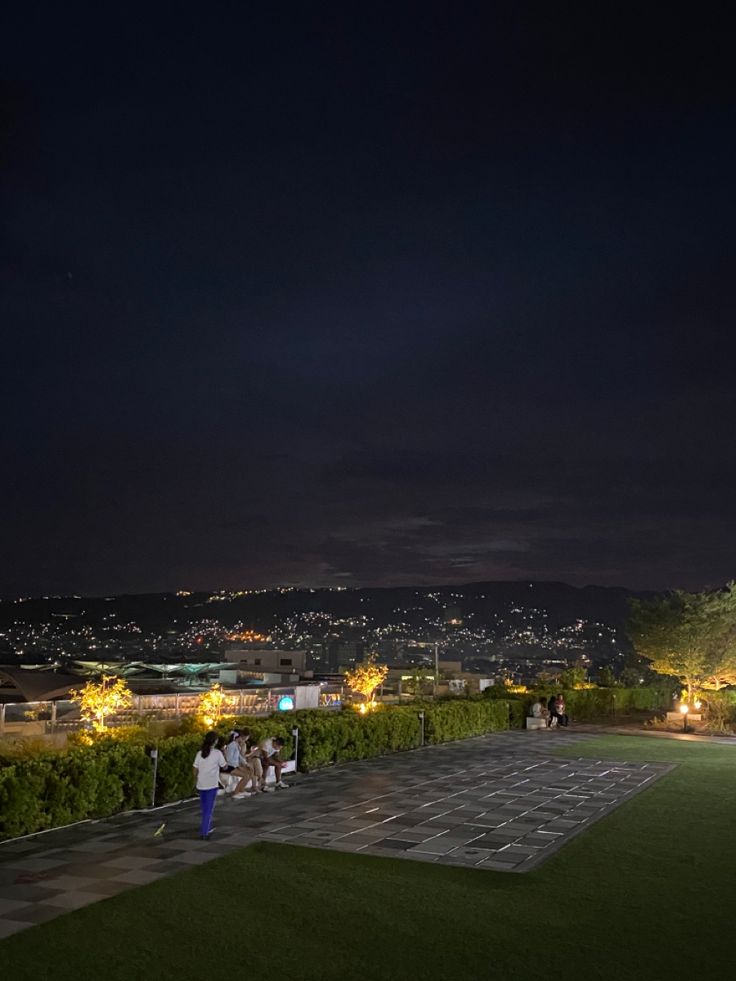 some people are standing on a grassy area at night time with the city lights in the background