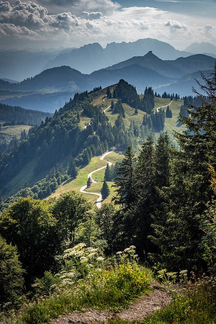 a scenic view of the mountains and trees in the foreground, with a path winding through them