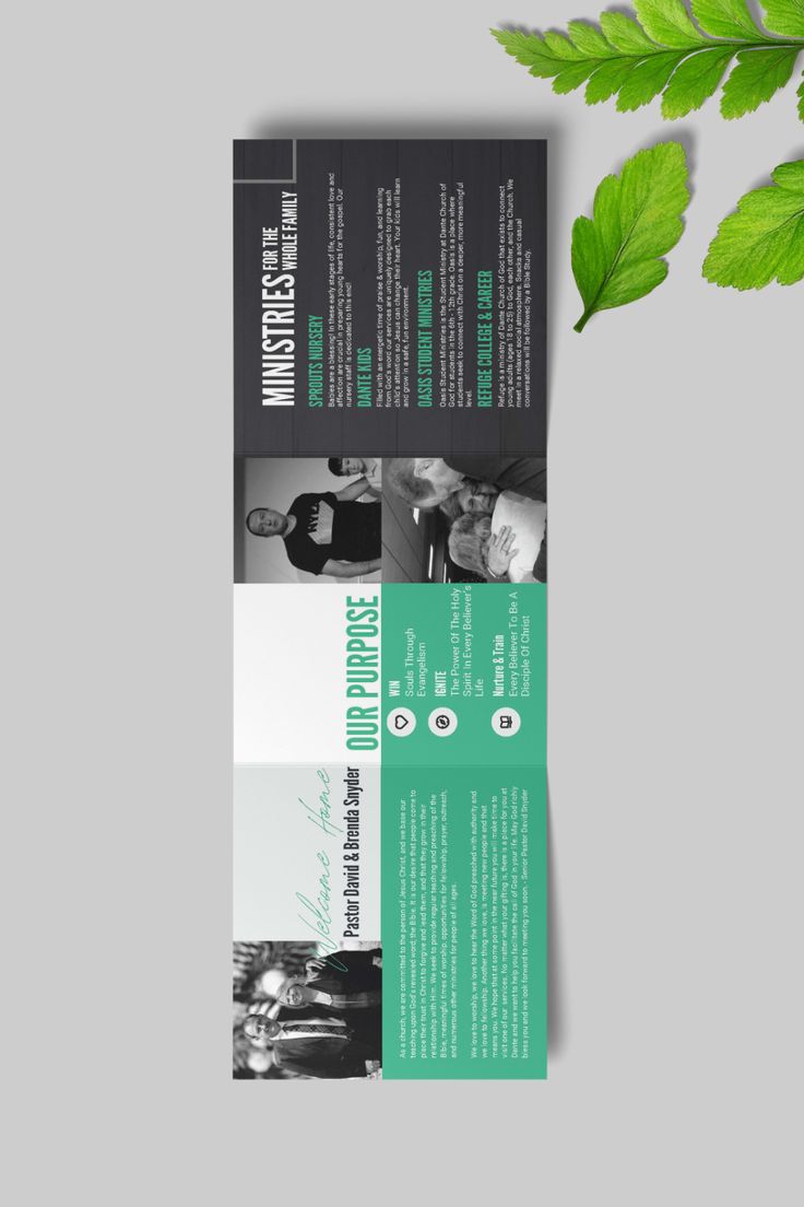 a brochure with green leaves on the side and black and white text below it