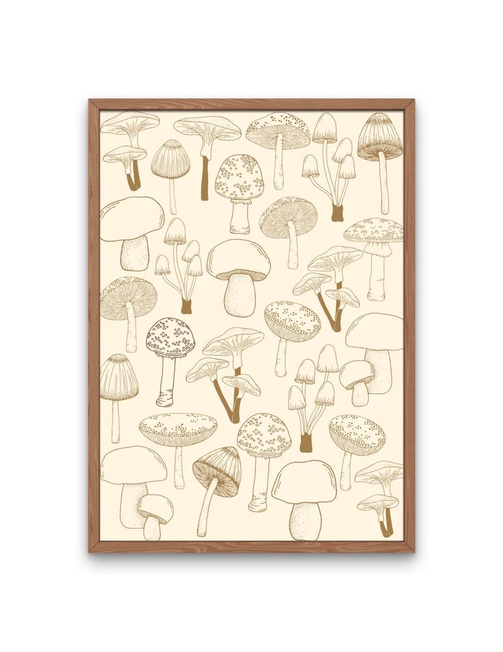 an illustration of many different mushrooms on a white background, framed in brown wood frame