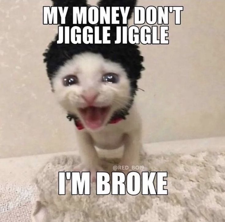 a cat wearing a hat with the caption, my money don't jiggle juggle i'm broke