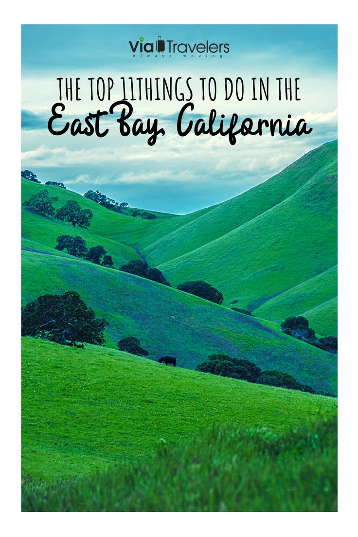 the top things to do in the east bay california