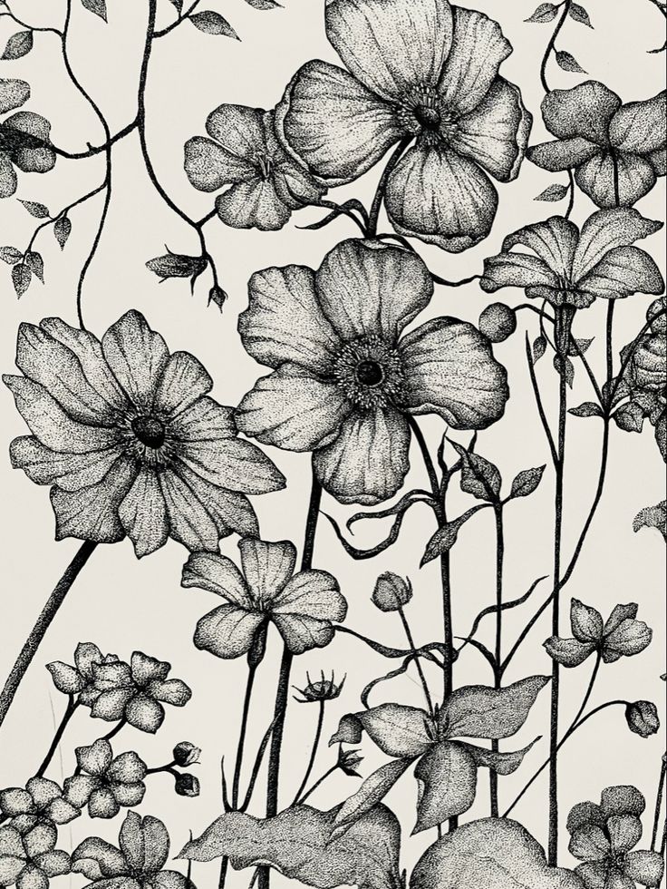 Detailed ink flower drawing of English flowers #stippling Pointillism Drawing Ideas, Pointilism Flowers Art, Black And White Pointillism, Stippling Art Nature, Stipple Flowers, Flowers Pointillism, Flower Stippling, Dot Work Flower, Dot Art Drawing Ideas