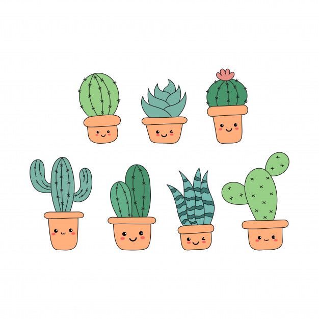 a set of cute cactus in different pots