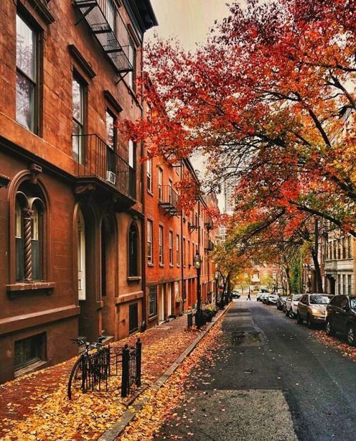 an autumn scene with leaves on the ground and parked cars in front of brick buildings