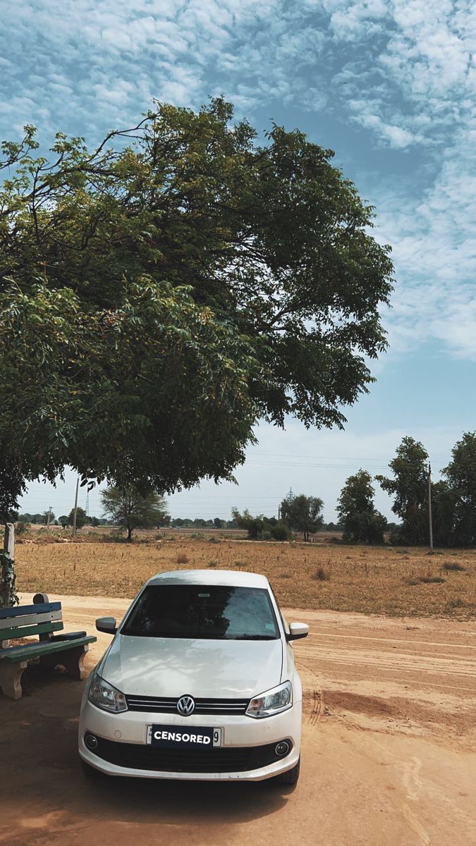 a white car parked next to a picnic table under a tree on a dirt road