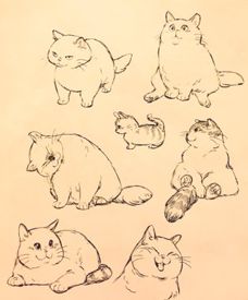 a drawing of cats and kittens sitting on top of each other in different positions