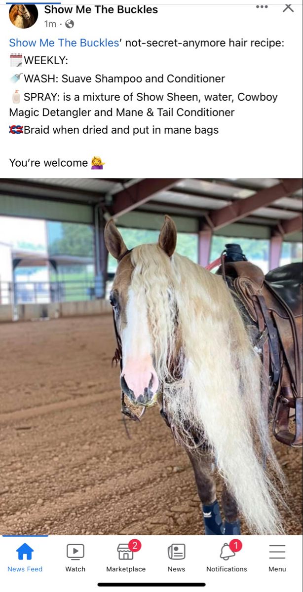 a horse is standing in the dirt with it's bridle on its back